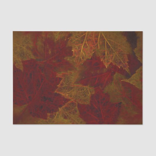 Papier Mousseline Automne Rouge Orange Neon Feuille d'érable foncé (Recto)