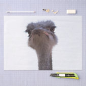 Papier Mousseline autruche (Artisanat)