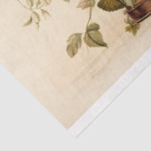 Papier Mousseline Aviaire enchanté : Découpage de cage d'oiseaux (Détail)