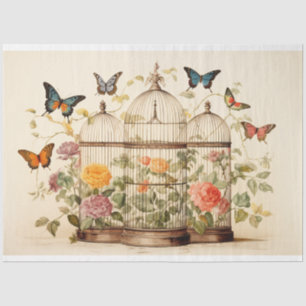 Papier Mousseline Aviaire enchanté : Découpage de cage d'oiseaux