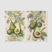 Papier Mousseline Avocados (Recto)