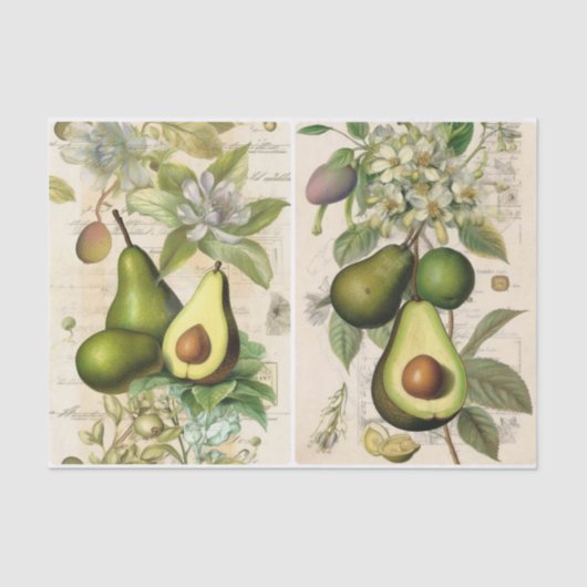 Papier Mousseline Avocados (Recto)