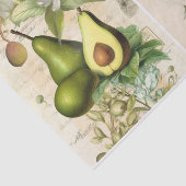 Papier Mousseline Avocados (Détail)