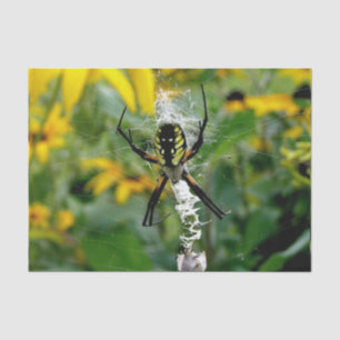 Papier Mousseline Awesome Photo Orb Spider dans le Web