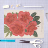 Papier Mousseline Azalea (Indica) Francois Devos par Charles Lemaire (Artisanat)