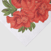 Papier Mousseline Azalea (indica) Grand-duché, Découpage (Détail)