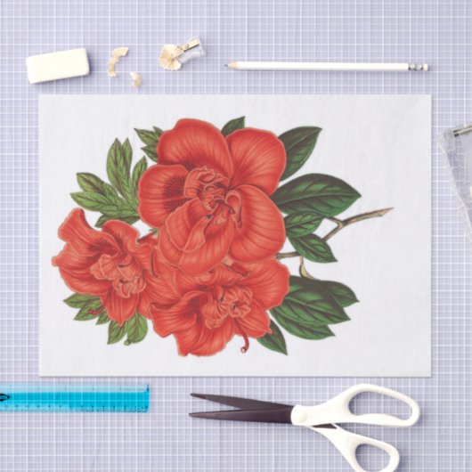 Papier Mousseline Azalea (indica) Grand-duché, Découpage (Artisanat)