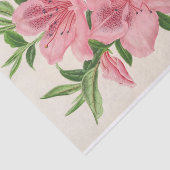 Papier Mousseline Azalea Indica (Hybrida) Gigantiflora par Lemaire (Détail)
