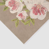 Papier Mousseline Azalea (indica) Reine des Pays-Bas par Lemaire (Détail)