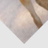 Papier Mousseline Baby Deer (Détail)