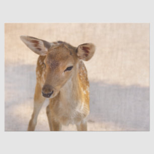Papier Mousseline Baby Deer