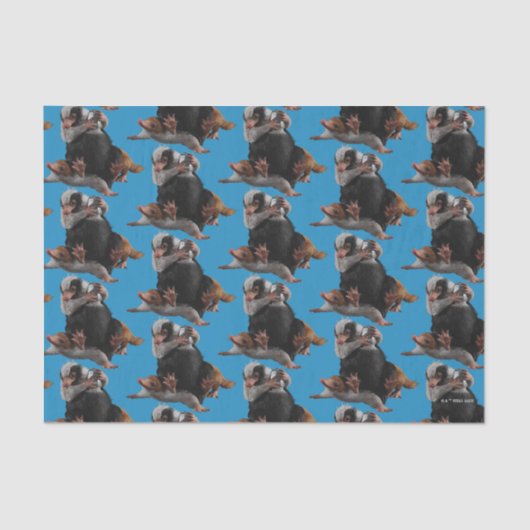 Papier Mousseline Baby Nifflers Find A Prize (Recto)