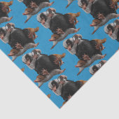 Papier Mousseline Baby Nifflers Find A Prize (Détail)