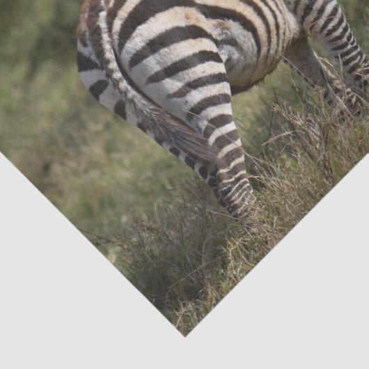 Papier Mousseline Baby Zebra en Afrique (Détail)