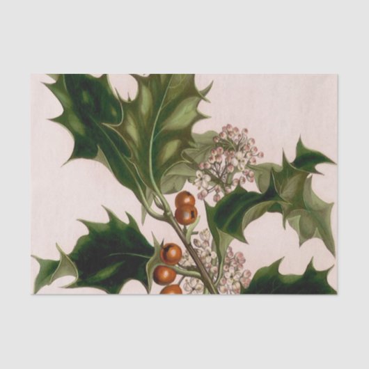 Papier Mousseline baies de houx (Recto)