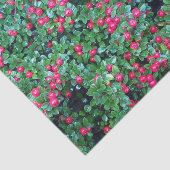 Papier Mousseline Baies rouges (Détail)