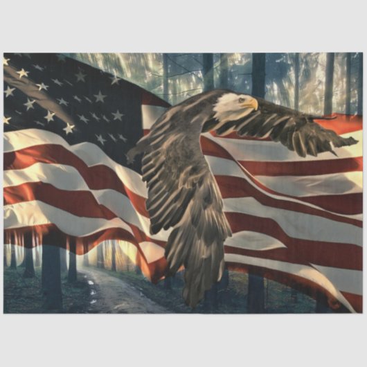 Papier Mousseline Bald Eagle Drapeau américain Country Road (Recto)