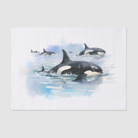 Papier Mousseline Baleine tueuse (Recto)
