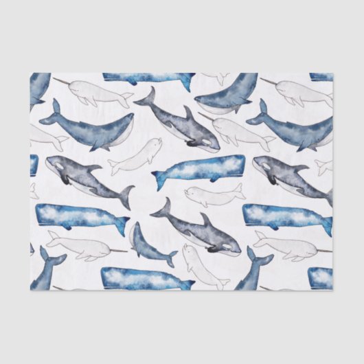 Papier Mousseline Baleines d'eau (Recto)