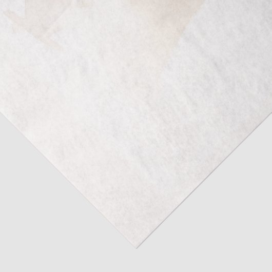 Papier Mousseline Ballerina (Détail)