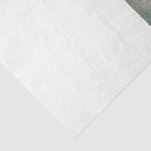 Papier Mousseline Ballon à air chaud Valentine (Détail)