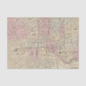 Papier Mousseline Baltimore 4 (Recto)