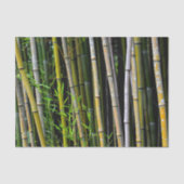 Papier Mousseline Bamboo Grove Photographie naturelle (Recto)