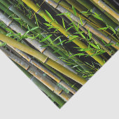 Papier Mousseline Bamboo Grove Photographie naturelle (Détail)