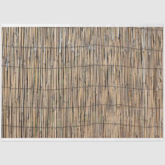 Papier Mousseline Bambou (Recto)