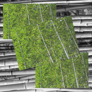 Papier Mousseline Bambou vert arbres Grove Photographie naturelle