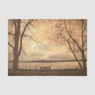Papier Mousseline Banc de parc grunge vintage arbres texture rustiqu
