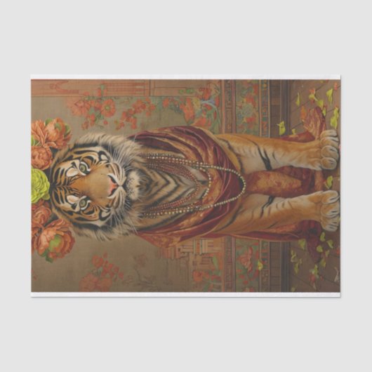 Papier Mousseline Bandes botaniques (Recto)