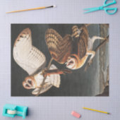 Papier Mousseline Barn Owl par John James Audubon (Artisanat)