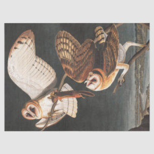 Papier Mousseline Barn Owl par John James Audubon