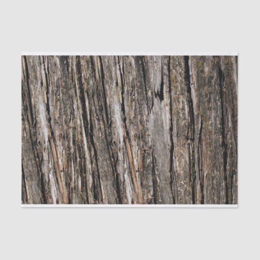 Papier Mousseline Barre d'arbre (Recto)