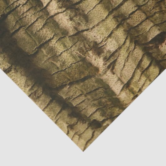 Papier Mousseline Barre de palmiers (Détail)