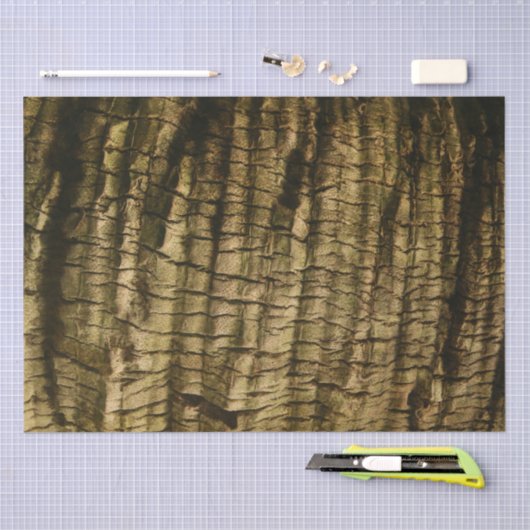 Papier Mousseline Barre de palmiers (Artisanat)