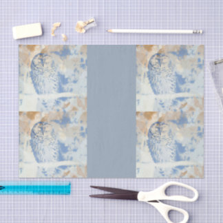 Papier Mousseline Barred Owl edit