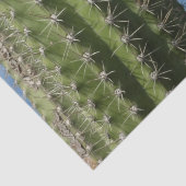 Papier Mousseline Barrel Cactus I Desert Photo (Détail)