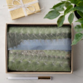 Papier Mousseline Barrel Cactus I Desert Photo (Cadeau)