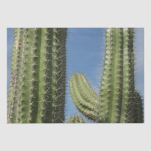 Papier Mousseline Barrel Cactus I Desert Photo