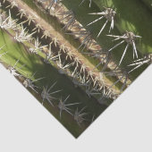 Papier Mousseline Barrel Cactus II Désert Nature Photo (Détail)