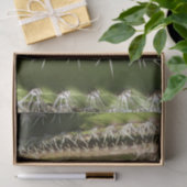 Papier Mousseline Barrel Cactus II Désert Nature Photo (Cadeau)