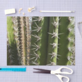 Papier Mousseline Barrel Cactus II Désert Nature Photo (Artisanat)