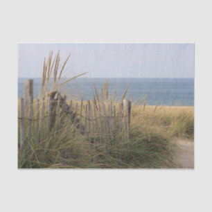 Papier Mousseline Barrière patinée de plage et herbe de dune à la