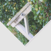 Papier Mousseline Bartlett Pears On Tree Orton Effet Decoupage (Détail)