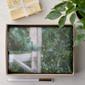 Papier Mousseline Bartlett Pears On Tree Orton Effet Decoupage (Cadeau)