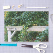 Papier Mousseline Bartlett Pears On Tree Orton Effet Decoupage (Artisanat)