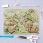 Papier Mousseline Beatrix Potter Tale des lapins Flopsy (Artisanat)