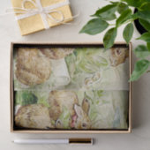 Papier Mousseline Beatrix Potter Tale des lapins Flopsy (Cadeau)